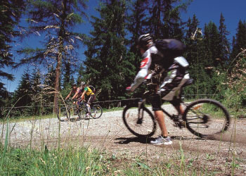 mountainbike ferienhaus schmid apartment serfaus untertösens