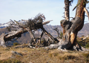 wandern ferienhaus schmid apartment serfaus untertösens